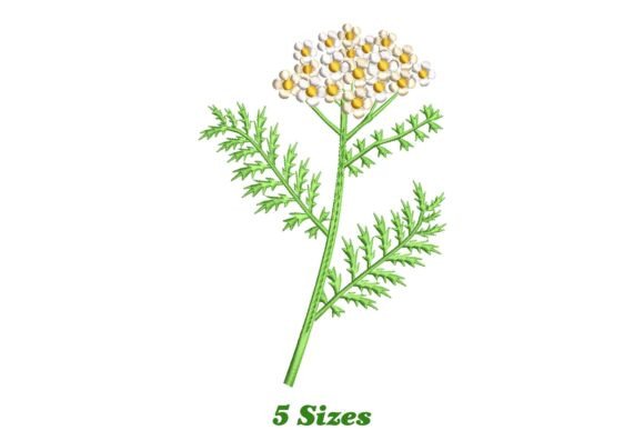 Yarrow Flower: A Cheerful, Artistic Single Flower Design